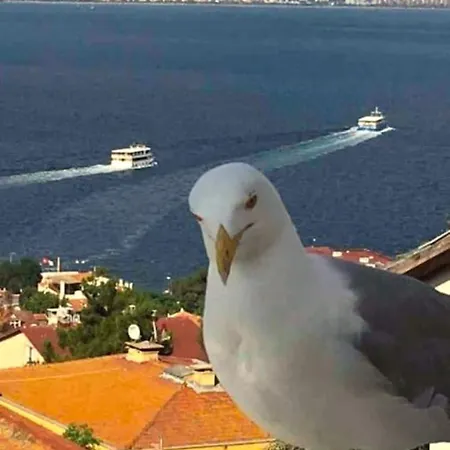 Panoramik Deniz Manzarali Apartmán