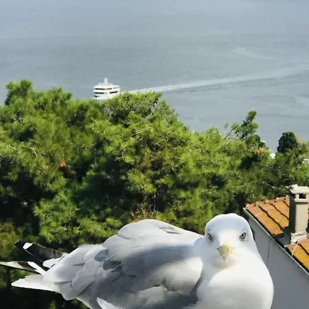 Apartmán Panoramik Deniz Manzarali Adalar
